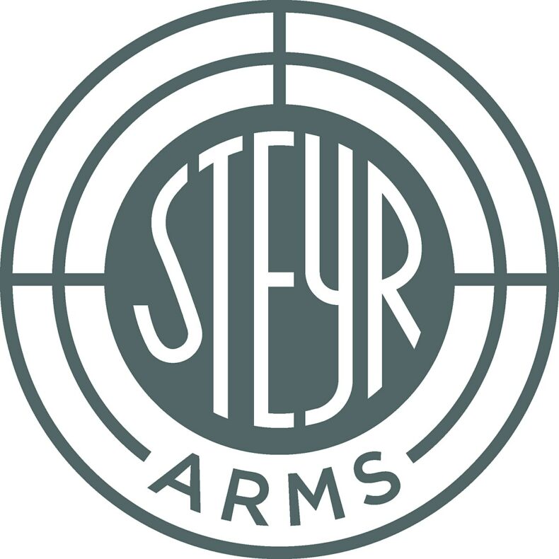 Steyr model SX