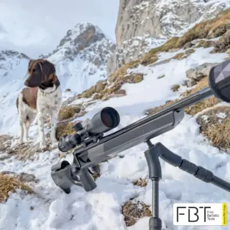 FBT Carbonschaft Christmas promotion | various gun models
