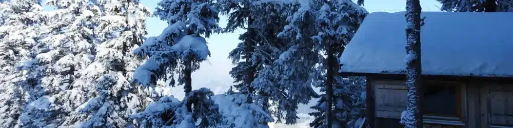 Winter hunting lodge